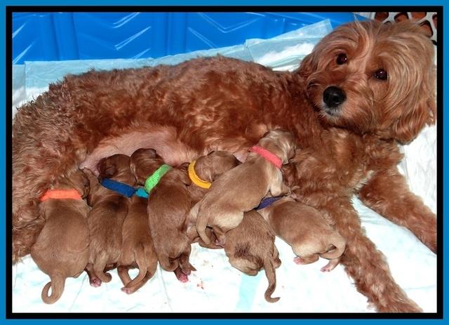 TB newborn group 41