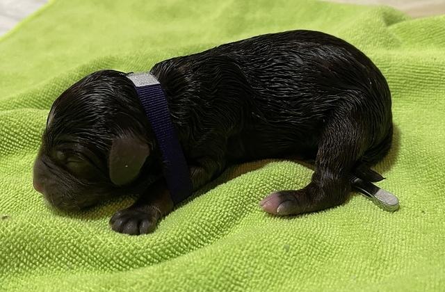 5066E645-F985-42DC-A412-D82319736D9D