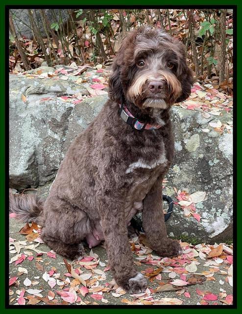 Willow day 57 preg 1 2