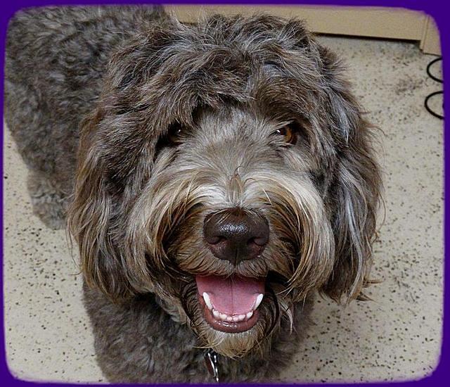 Coco SMILE