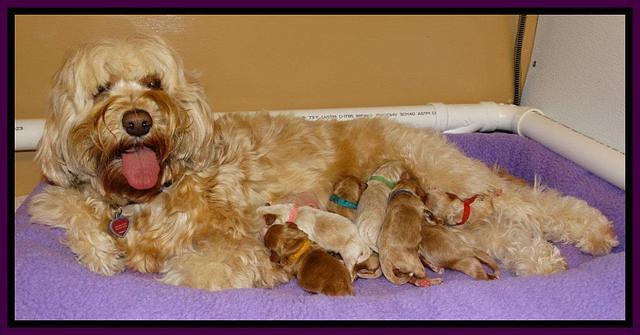 Sky Reagan Feb 6 2014