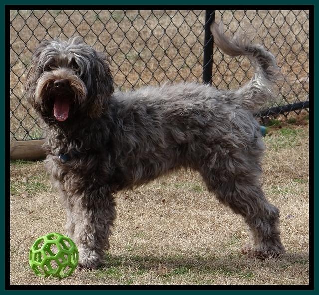 Maizie honeymmon 019