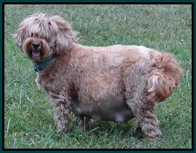 Jolie preg 5 day 57 21