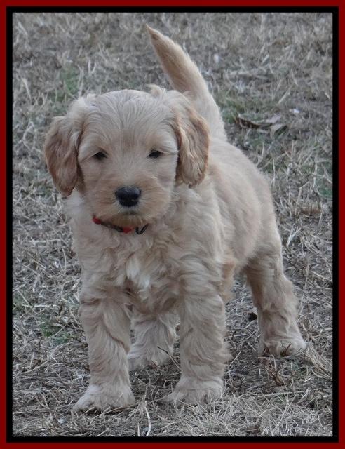 DSC06028