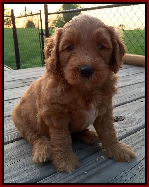 FullSizeRender.jpg 1