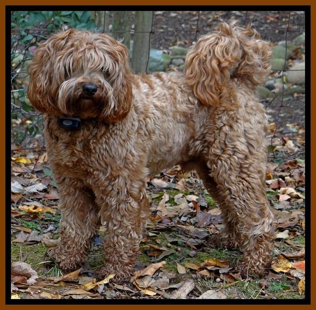 Blaze Nov 2012 stand