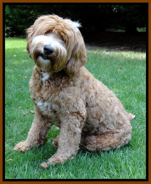 Ellie Mae 19 mos old july 2015 41