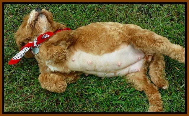 Ellie day 55 spa day 1