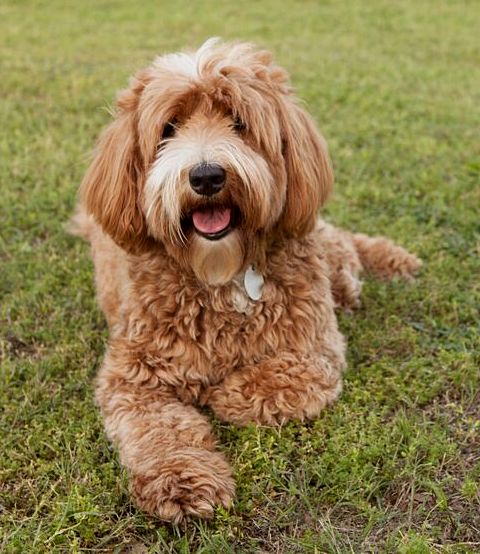 Ellie with family 31