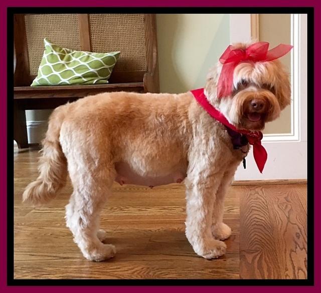 Macy day 57 preg 12 #1