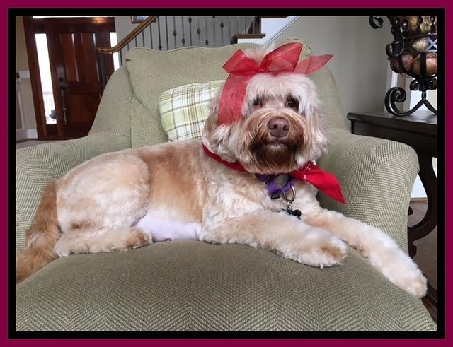 Macy day 57 preg 32 #1