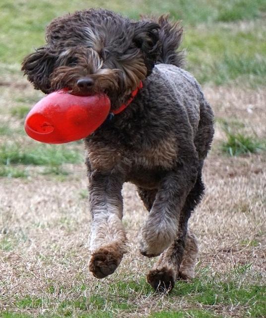 Trace fetch 21