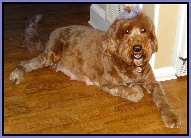 Noelle day 56 Dempsey