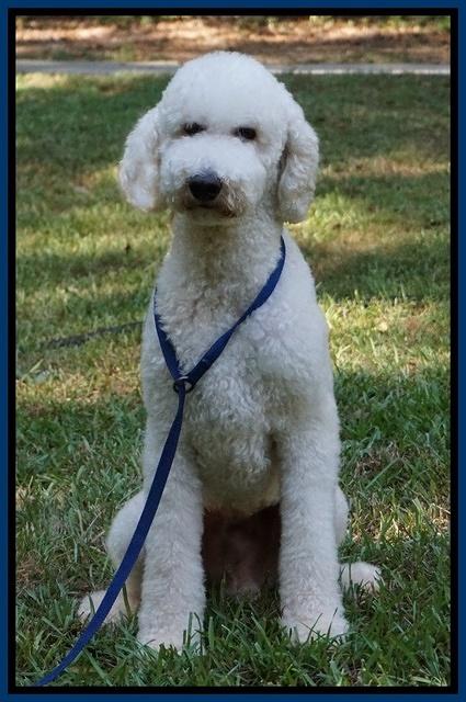 Pitch sit Aug 30 2016 21