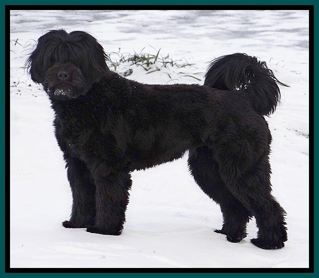 Snow day 2014 January 026