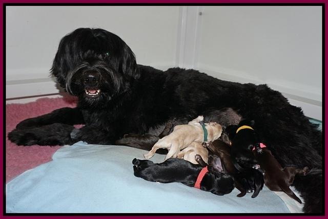 Bess Bronson newborn 31