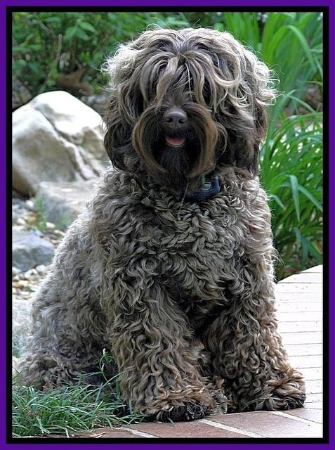 Cherie 2 years old 1