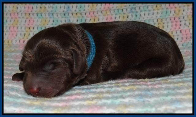 Fanny Deacon newborn 21