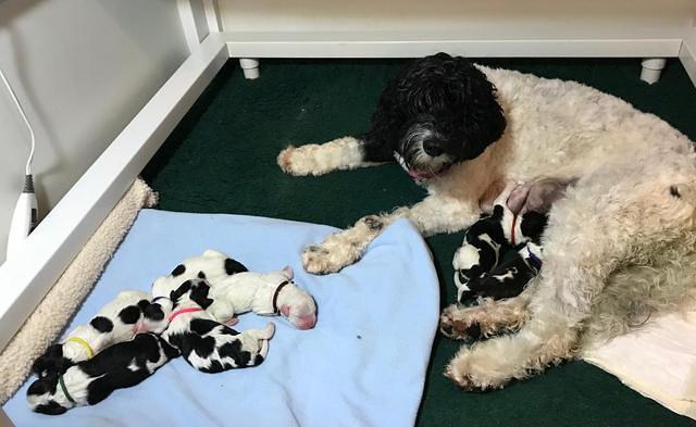 Paris Bronson Newborn 241