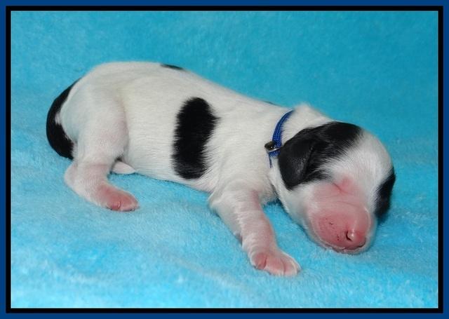 Paris Bronson Newborn 71