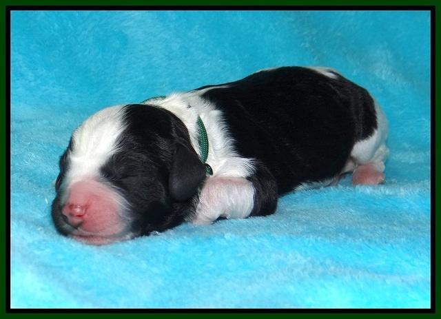 Paris Bronson Newborn 141