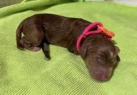 3F81E08C-CA17-4494-9E6E-04937A6D203E