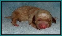 BT 2 days old 431