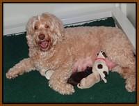 Callie Texas Newborn 6