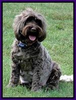 Cherie day 54 preg 2 4