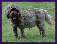 Cherie day 54 preg 2