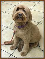 Cookie day 58 preg 1