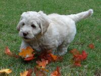 Roo Pink 7 wks 2012 (3)