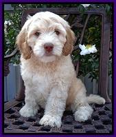 Brinkley Family: "Madison"