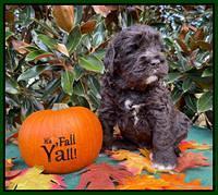 Kenzie Dansby 4 week old 131