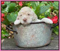 Kenzie Dansby 3 week old 241