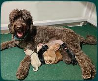 Kenzie group newborn 2