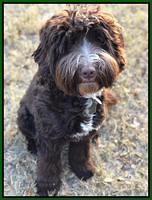 Camo sit 9 mos old