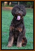 Trace 11 mos old
