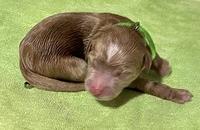 6A5F9D78-6181-4CA1-B063-4B9B47604A24