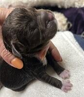 75077243222 35B32353-BB92-4A69-AA25-954ACDF9257B