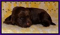 TH newborn individual 91