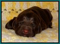 TH newborn individual 351