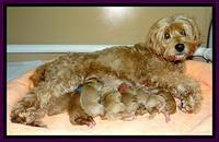Tia Gus newborn group 1