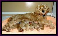 Tia Gus newborn group 3