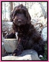 Lovoie family:" Prim" n Proper