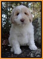 Winckler family: Charley