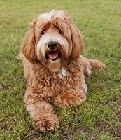 Ellie with family 31