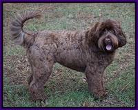 Liza 2 years old 050