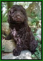 West Family: Celia Mae