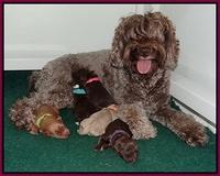 Xana Pilot newborn group 005